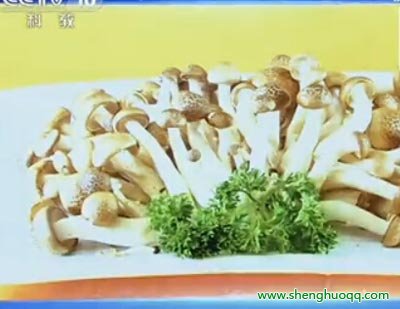 海鲜菇
