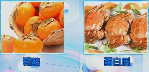柿子与螃蟹一起吃-鞣酸与蛋白质