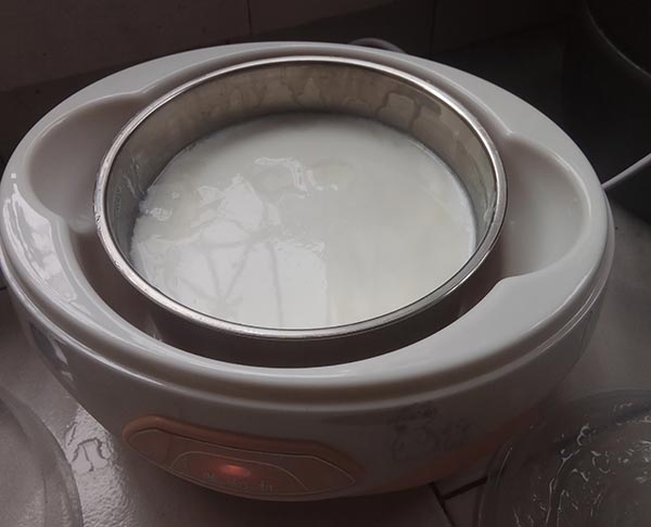 酸奶机做的酸奶