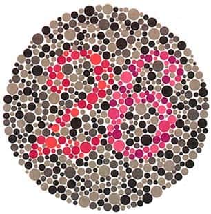 数字 6 与 2 测试图