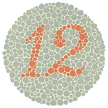 数字 12 测试图