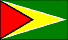 圭亚那国旗