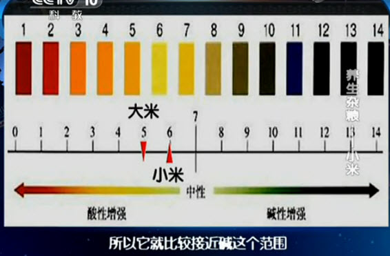 小米的PH值,反酸