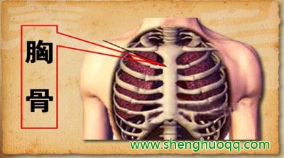 食管反流胸疼的位置图图片