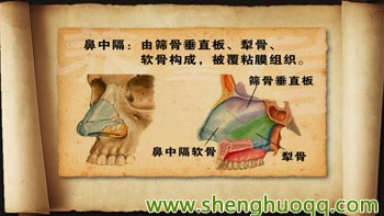 养生堂周兵讲:鼻中隔偏曲,肿瘤,兔唇