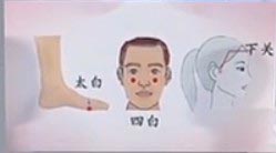 太白穴,四白穴下关穴