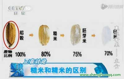 精米与糙米的区别（图1）