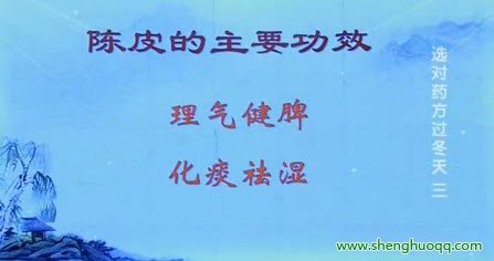 陈皮的功效