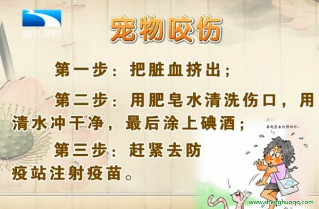 狂犬病