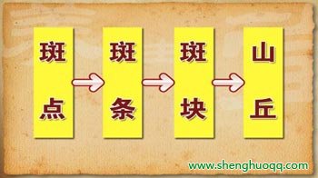 血管斑块
