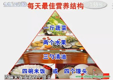 一天的营养结构图