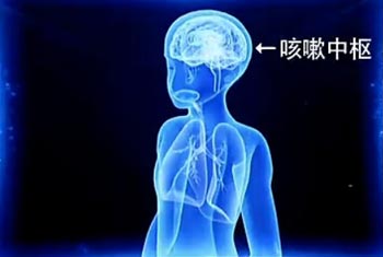 咳嗽中枢
