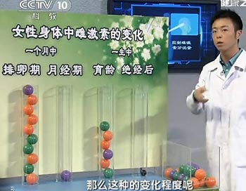 雌激素的变化过程