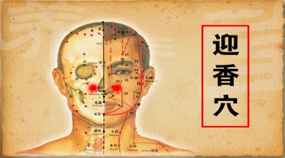 养胃-迎香穴