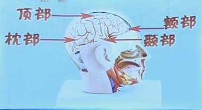 颈椎病引起头痛的放射区域