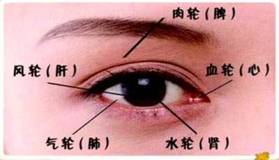 眼睛与五脏的关系