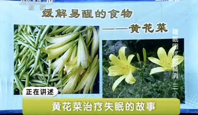 黄花菜