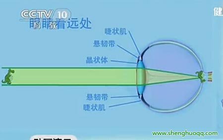 眼睛功能示意图