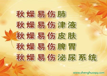 秋燥易伤哪些脏器