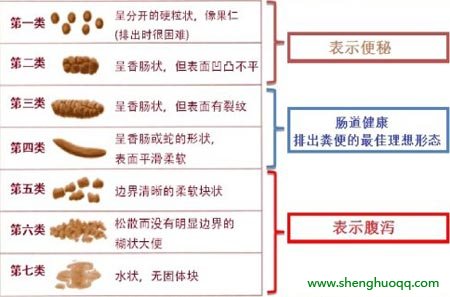 从大便形状看健康