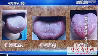 薏米健脾