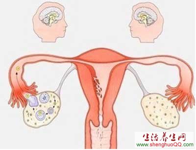 月经不调-原因-调理www.caidaoke.com