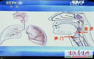 健康之路20141221抢救呼吸要道www.caidaoke.com