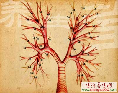 气管支气管www.caidaoke.com