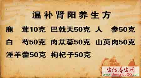 温补肾阳养生方