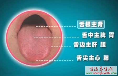 舌诊www.caidaoke.com