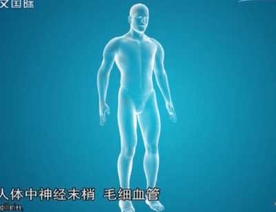中华医药20141126银针除痹治偏瘫