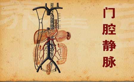 门腔静脉