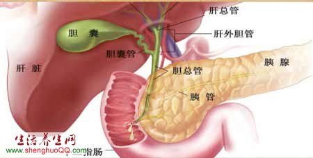 胰腺癌的危险因素