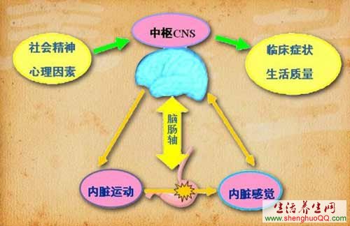 五脏之贼-2