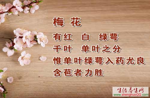 梅花