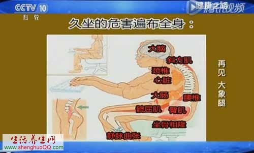 久坐的危害遍布全身