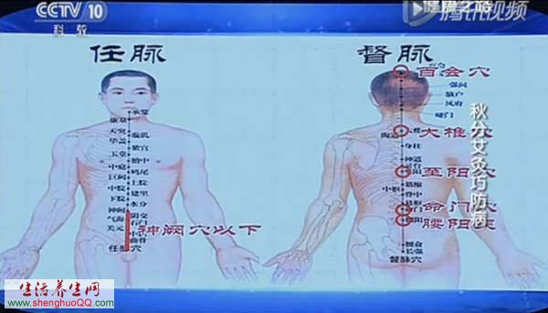 秋季艾灸防病应先灸背部