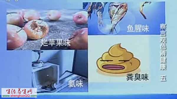 尿液的气味