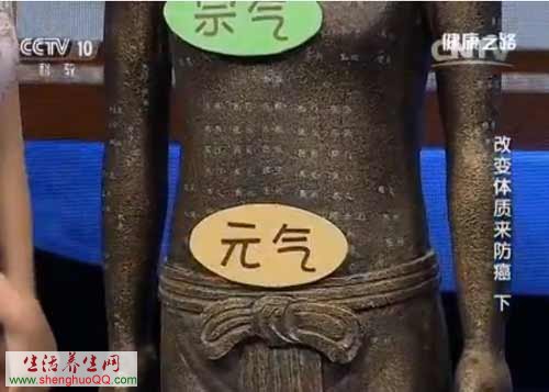 宗气与元气