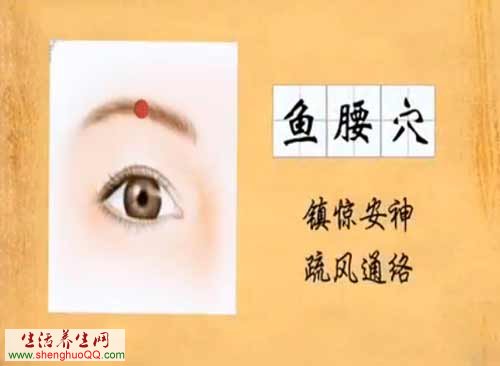 鱼腰穴