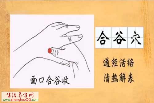 合谷穴的作用