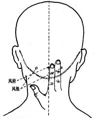 风池穴找法