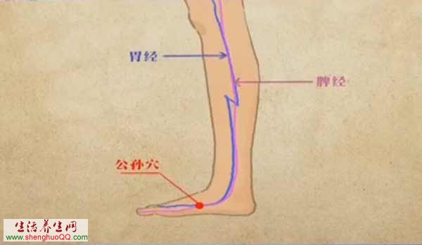 公孙穴的位置