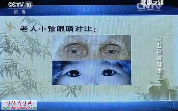 老人小孩眼睛对比