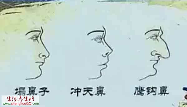 鼻型与健康的关系