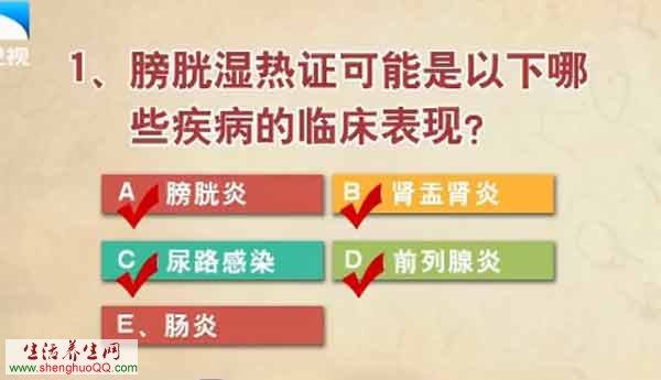 膀胱湿热证可能导致的疾病