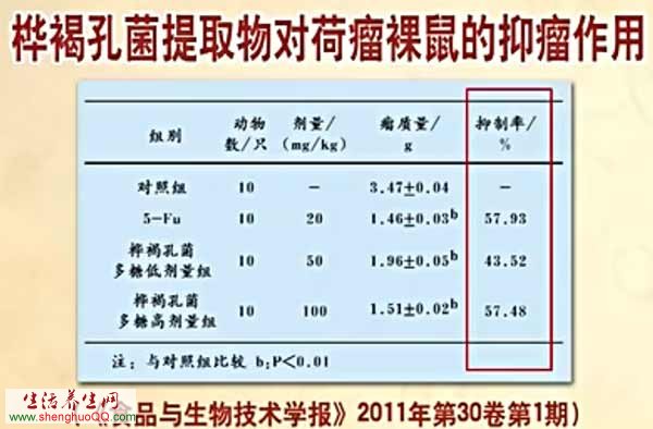 桦褐孔菌提取物对荷瘤裸鼠的抑瘤作用