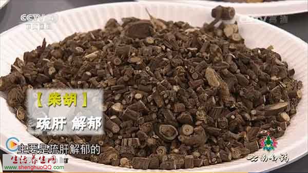 中药-柴胡