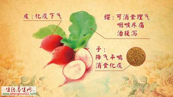 萝卜的作用