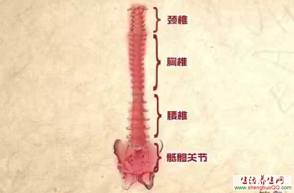 强直性脊柱炎的发展过程